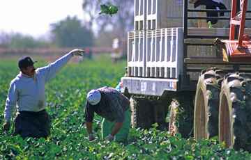 IVAN - Imperial Valley